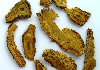 降血脂的中药有哪些?